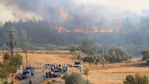 Arazi mafyalarının yangınlarla ilgisi