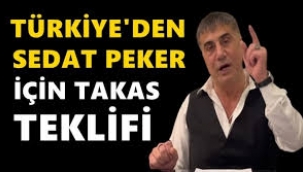 BAE Sedat Peker'i tutuklayıp Türkiye'ye iade eder mi?