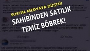 'Böbrek' ilanları ve işsizlik maaşı trendlerde