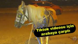 At ile video çekerken arabayla çarpıştı