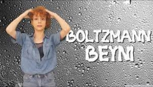 Boltzmann beyni