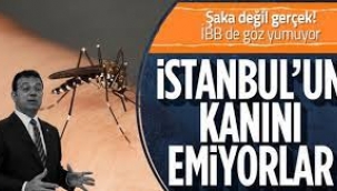 'Asya Kaplanı' Tehlikesi: Hastane Başvuruları Arttı!