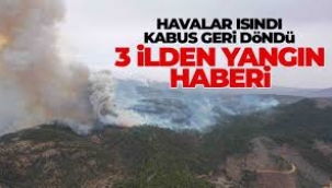 Çanakkale, Bursa ve Bilecik'te orman yangını