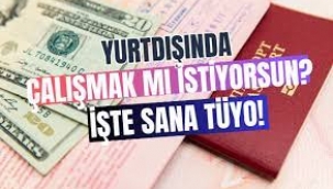 Yurt dışında çalışmak isteyenlere tüyolar