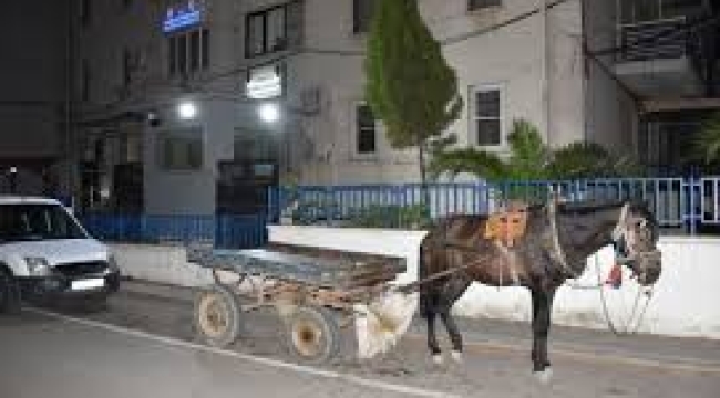 Aydın'da at arabasını alkollü kullanan sürücüye ceza