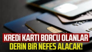 Kredi ve kredi kartı borçlarına yeniden yapılandırma