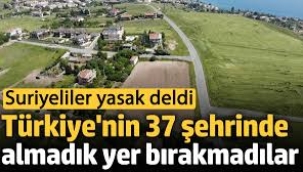  'Suriyeliler Türkiye'nin 37 şehrinde almadık yer bırakmadılar