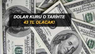 Dolar 43 lira olacak