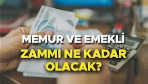 Uzmanlar paylaştı; emekli aylıklarına yıl sonu zammı ne kadar olacak?