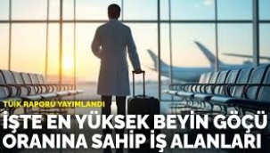 İşte en yüksek beyin göçü oranına sahip iş alanları