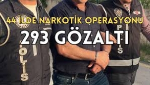 Narkoçelik operasyonları: 2248 gözaltı