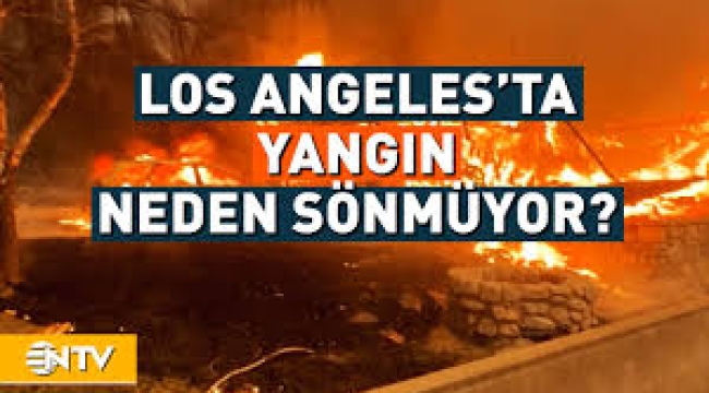 Dünya Los Angeles'ı konuşuyor... Yangın çıkaran kuşlar