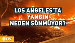 Dünya Los Angeles'ı konuşuyor... Yangın çıkaran kuşlar