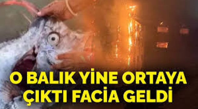 Kıyamet balığı yine ortaya çıktı Kartalkaya faciası geldi! Felaketler zinciri devam ediyor mu?