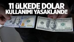 11 ülkede dolar kullanımına yasak