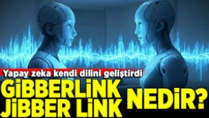 Gibber Link, Jibber Link nedir? Yapay Zeka'nın gizli dili mi var?