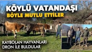 Kaybolan ineği dronla buldu