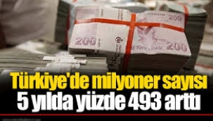 Türkiye'de milyoner sayısı 5 yılda yüzde 493 arttı