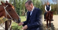 Cumhurbaşkanı Başdanışmanı bugün paylaştı