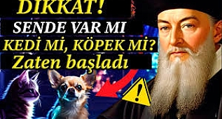 Şok edici: NOSTRADAMUS'un evlerinde KÖPEK ve KEDİ besleyenler için öngördüğü şey